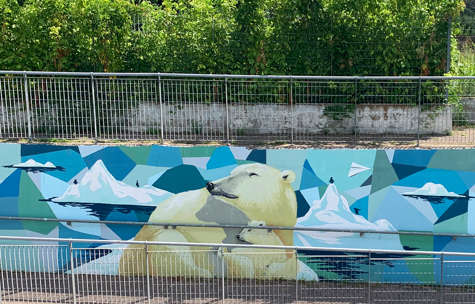 street art urban milano murales orso polare panoramica